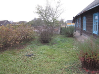 Продаётся дом 60 м.кв с земельным участком 30 соток. - Изображение #2, Объявление #971875