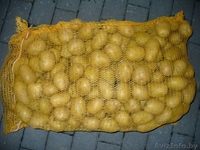 Картофель продовольственный желтокожурный и краснокожурный   - Изображение #3, Объявление #993442