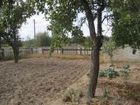 Дом в деревне 150 км от г. Минска, Любанский р-н, д. Селец  - Изображение #6, Объявление #1053433