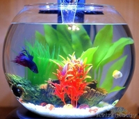 Аквариум с водопадом и рыбкой В ПОДАРОК! - Изображение #1, Объявление #1510963