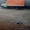 Грузоперевозки из(в) Слуцка 2- 20 тонн(тенты, изотермы, фургоны - Изображение #4, Объявление #1510089