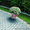 Укладка тротуарной плитки Слуцкий район - Изображение #1, Объявление #1569433