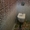  Укладка плитки на пол и стены Слуцк Солигорск Копыль - Изображение #10, Объявление #1275519