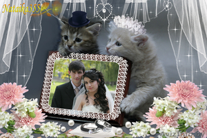 ВИДЕООПЕРАТОР.ВИДЕОСЪЁМКА