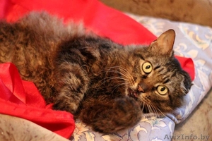 ВАСЯ-БОМЖ в дар!