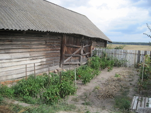 Дом в деревне 150 км от г. Минска, Любанский р-н, д. Селец  - Изображение #5, Объявление #1053433