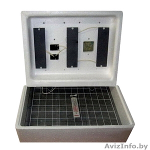 Инкубаторы бытовые автоматические