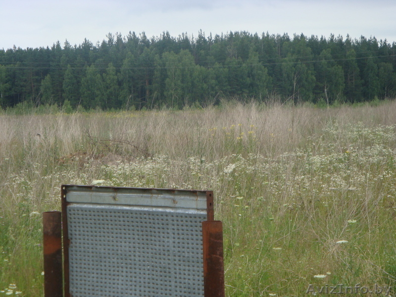 дом в курортной зоне - Изображение #5, Объявление #56963