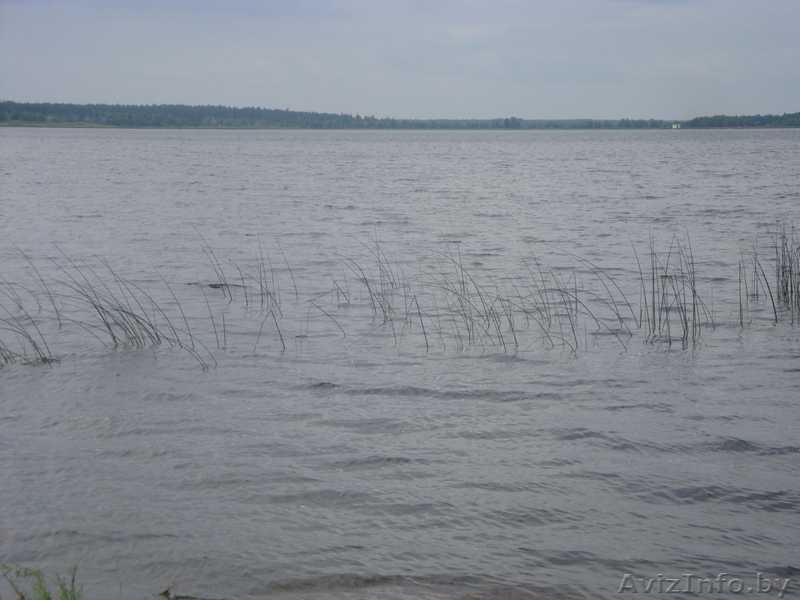 дом в курортной зоне - Изображение #4, Объявление #56963