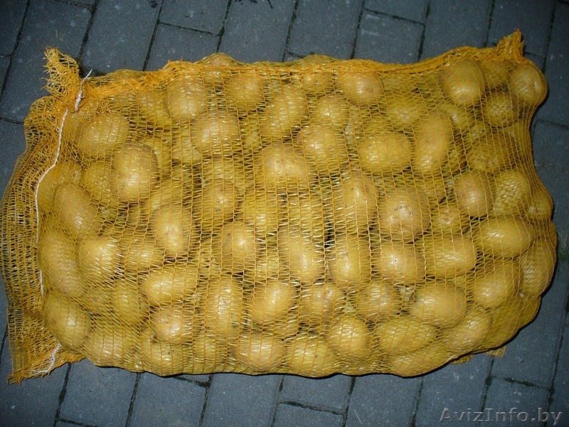 Картофель продовольственный желтокожурный и краснокожурный   - Изображение #3, Объявление #993442