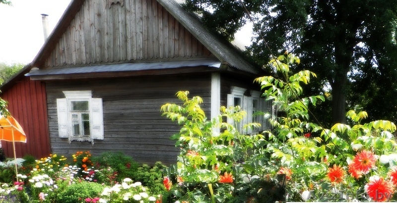 Продается участок с домом. Недорого! - Изображение #3, Объявление #1299617