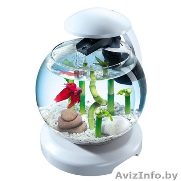 Аквариум с водопадом и рыбкой В ПОДАРОК! - Изображение #4, Объявление #1510963